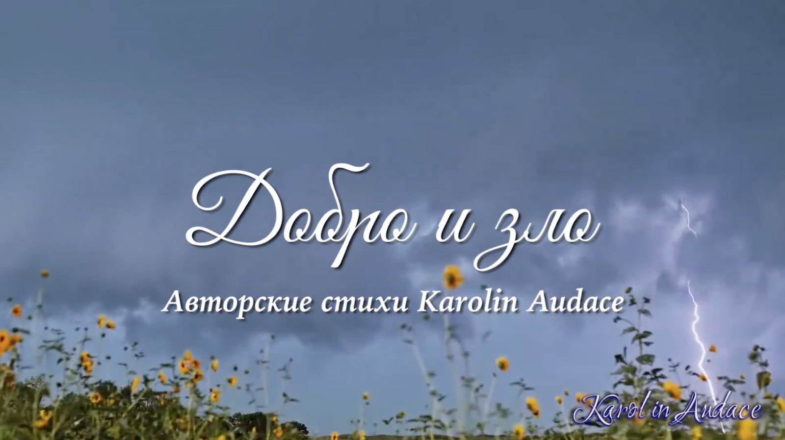 Снимок экрана 2020-10-31 в 00.52.30 копия